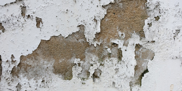 Pintar Fachadas de Empresas / Negocios / Locales Comerciales en Alcalá de Henares · Pintura Antihumedad / Antimoho para Humedades / Moho